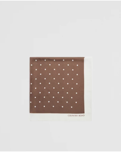 Country Road - Silk Spot Scarf