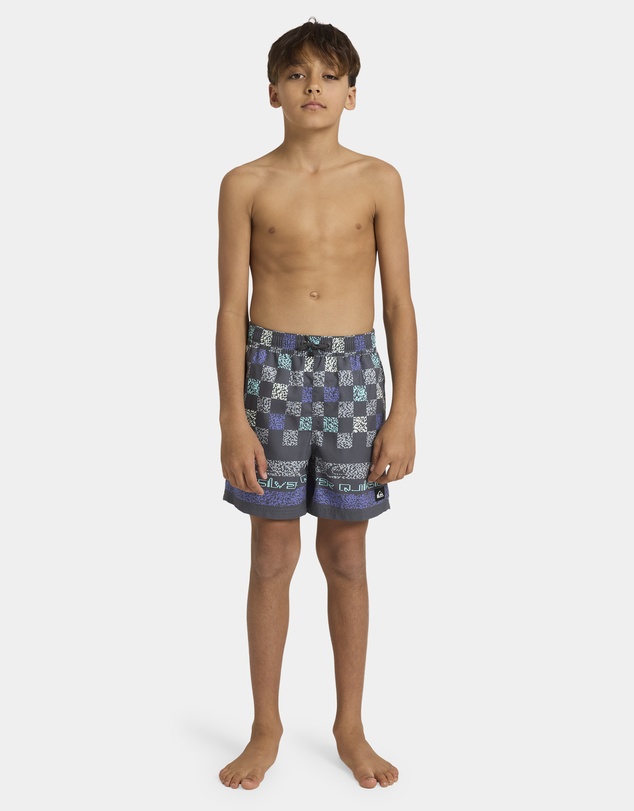 Quiksilver - Boys 8 to 16 Everyday 14