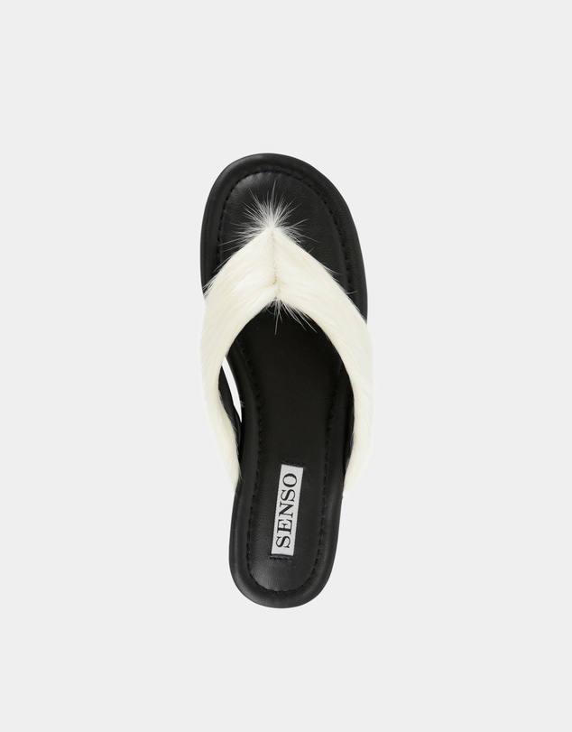 Senso - Hunter I