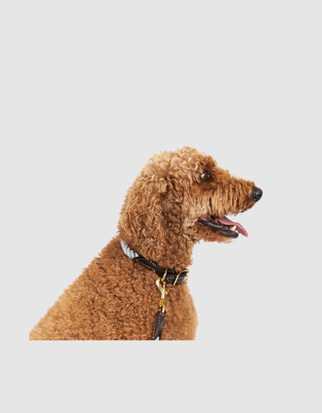 Mog & Bone - Rope & Leather Dog Collar- Grey