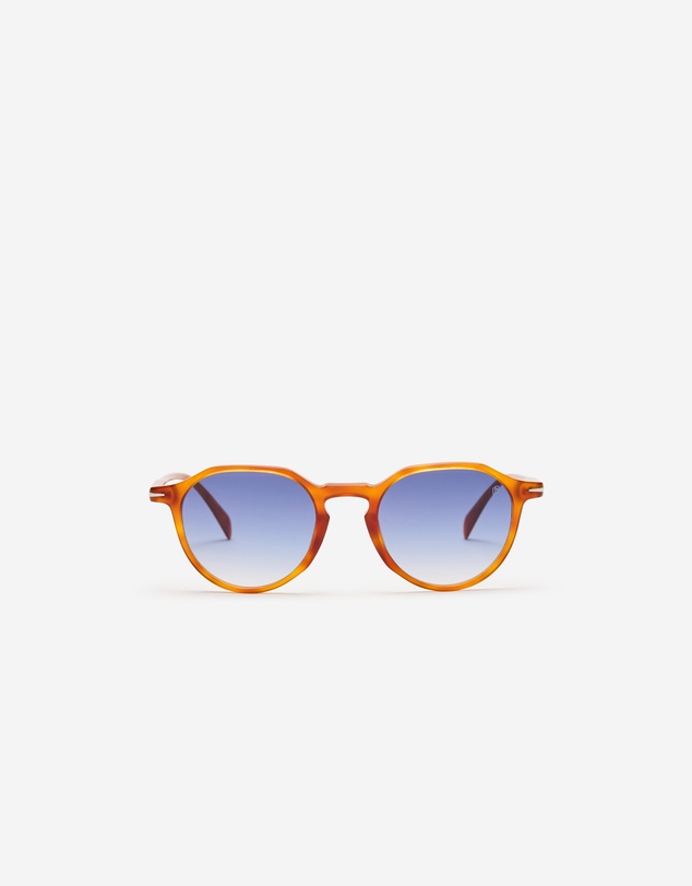 Calibre - David Beckham Pantos Sunglasses Tort