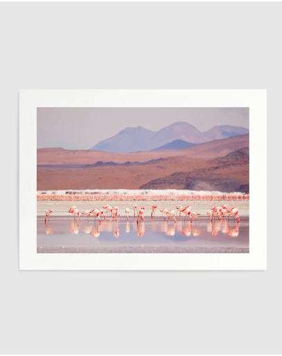 Olive et Oriel - Flamingos Art Print