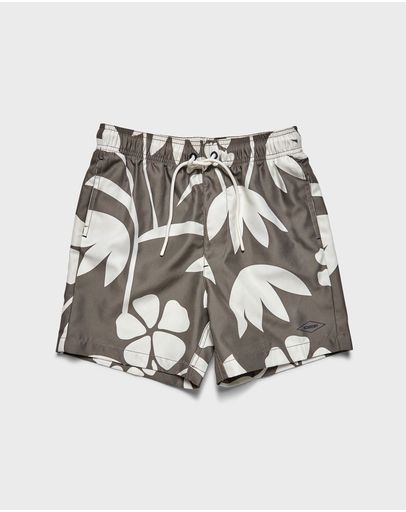 DARK KELP GREEN