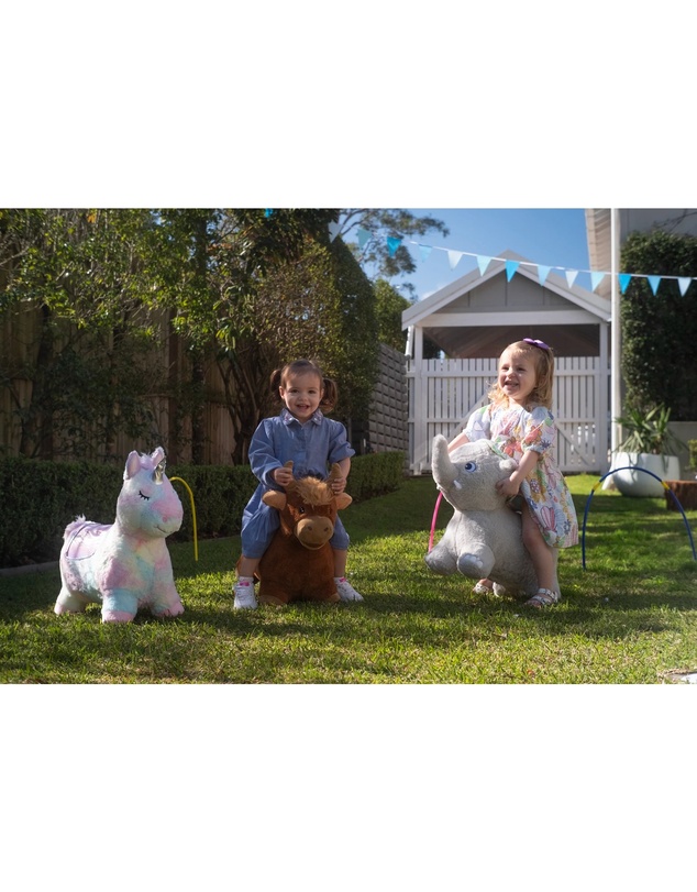 Freeplay Kids - FPK Hamish Cow Hopper