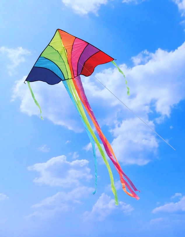 Freeplay Kids - Tropical Kite