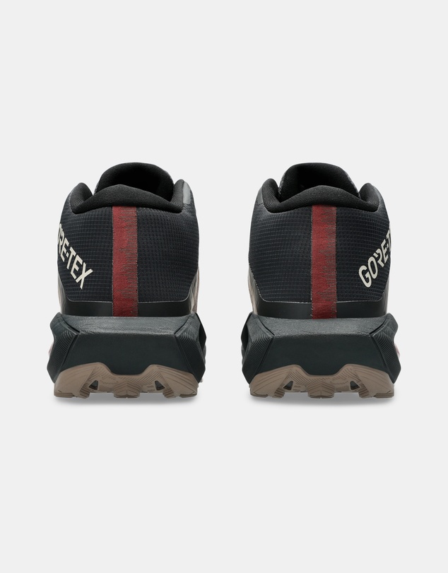 ASICS - GEL-Trabuco Mt GTX - Men's