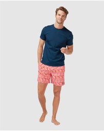 Tom & Teddy - Short Sleeve Rash Vest