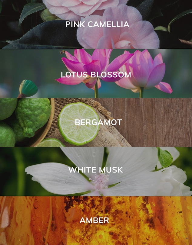 Caitlin Louise Collection - Camellia and Lotus Artist Room Spray