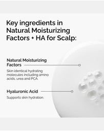 The Ordinary - Hair Care Natural Moisturizing Factors + HA