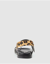 Edward Meller - TALE Asymmetrical Thong on Unit