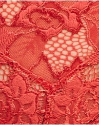 Sans Complexe - Arum Microfiber & Lace Hipster Brief