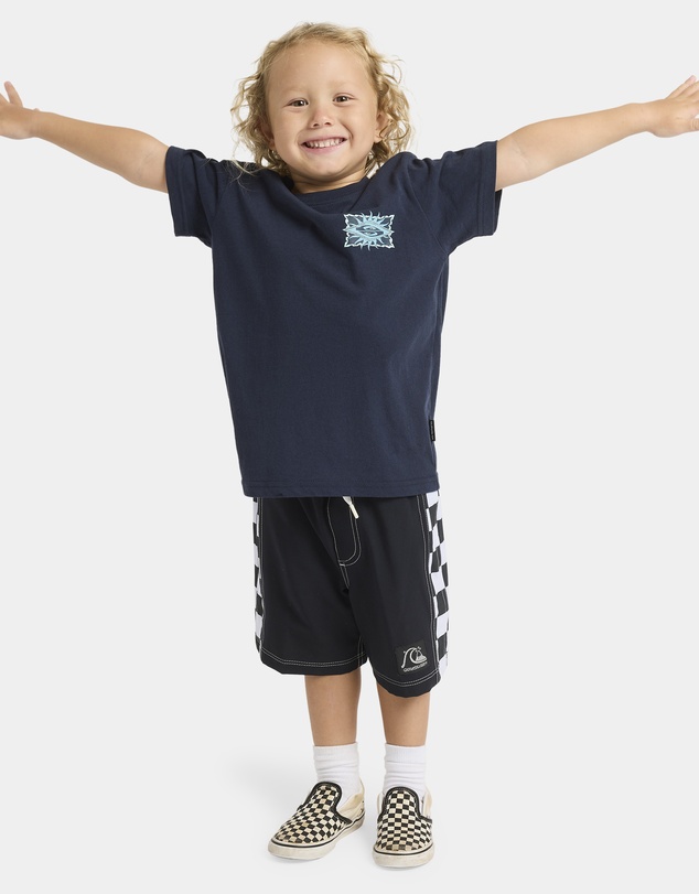 Quiksilver - Boys 2 to 7 Starfish Stamp T-Shirt