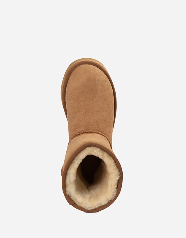 Ozwear Connection Uggs - Ugg Classic Platform Short Boots (Water Resistant)