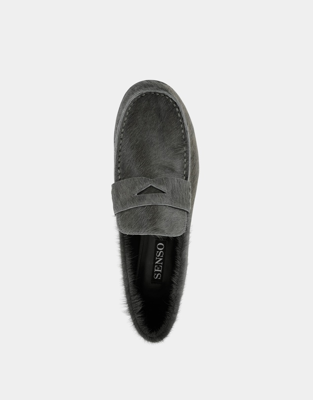 Senso - Elsa III