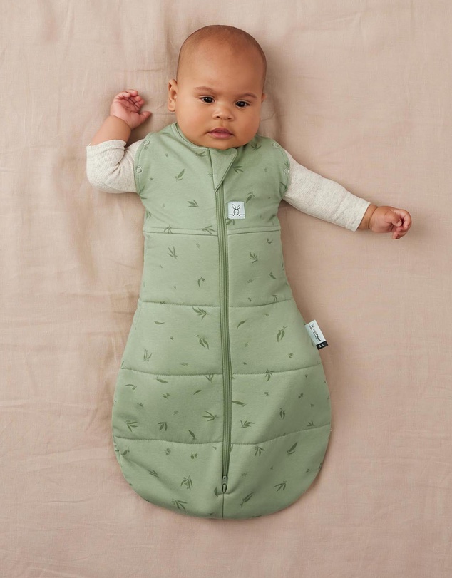 ergoPouch - Cocoon Swaddle Bag 2.5 TOG