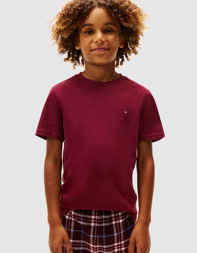 Tommy Hilfiger - 2-Pack Short Sleeve T-Shirts - Teens