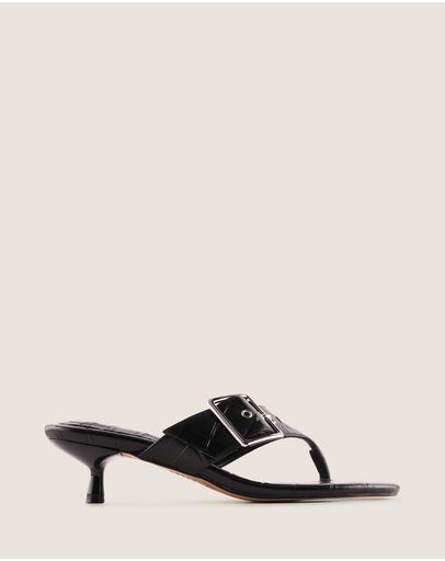 BLACK CROC