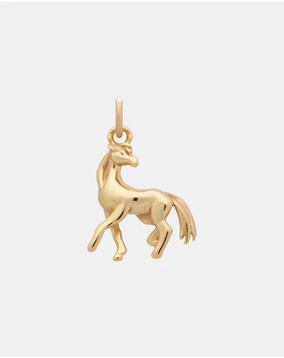 YCL  - Horse Charm