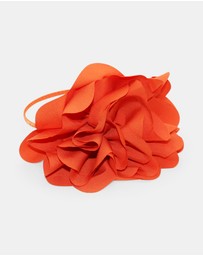 Morgan & Taylor - Amy Fascinator