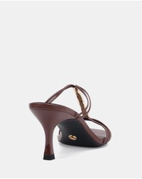 Novo - Zends Mule