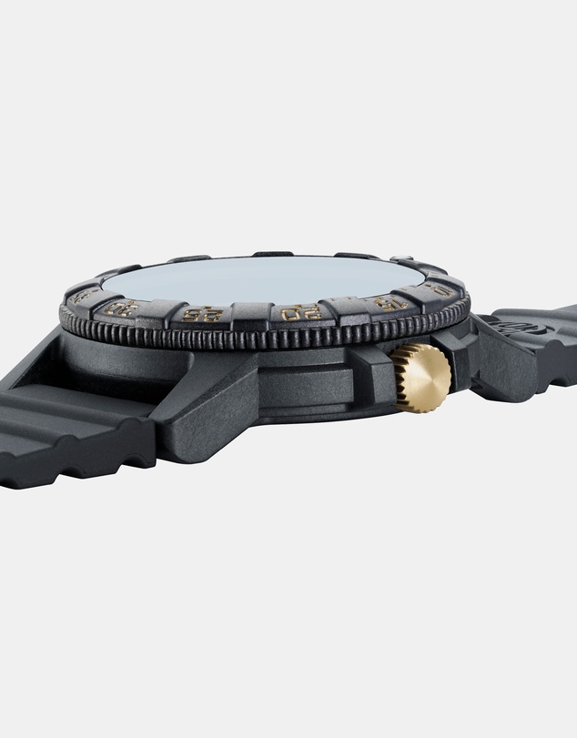 Luminox - Leatherback Sea Turtle Gold Edition Watch