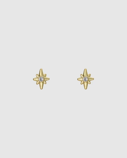 Ted Baker - SURI: Star Charm Crystal Micro Stud Earrings