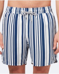 Tom & Teddy - Stripes Boardshorts
