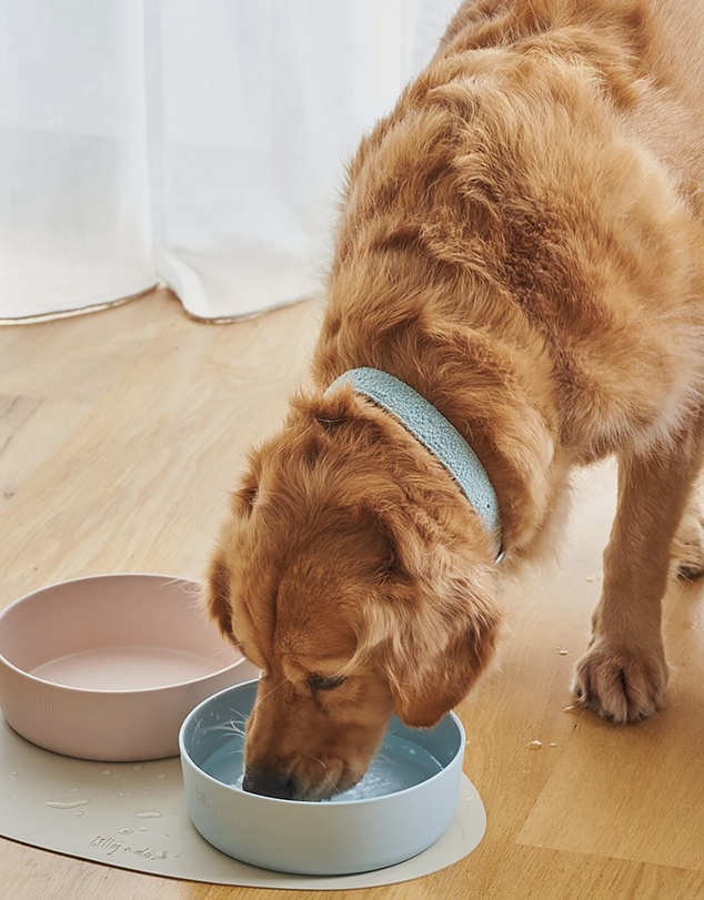 Lilly + Dash - Dog Eat and Drink Set – 2 Bowls + Lick Insert + Slate Placemat Set
