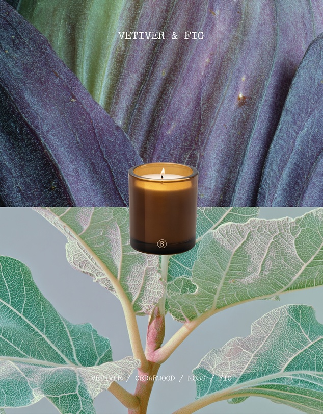 Black Blaze - Vetiver & Fig Scented Candle