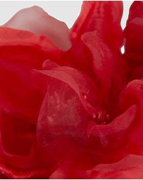 Fillies Collection - Large Red Flowers Headband