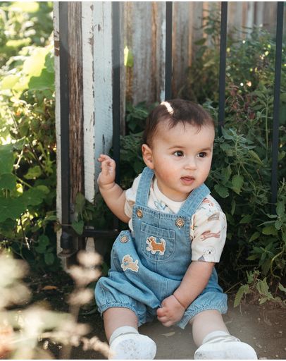 Faded Denim