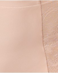 Sans Complexe - Perfect Shape High Waist Lace & Microfiber Brief