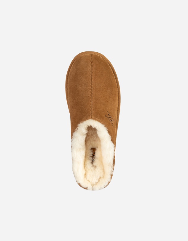 Ozwear Connection Uggs - Ugg Avery Unisex Slipper(Water Resistant)