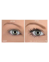 Silk Oil of Morocco - Brow & Lash Duo