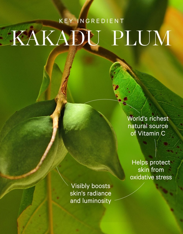 KORA Organics - Kakadu Plum Vit C Eye Cream 15mL