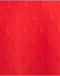 Polo Ralph Lauren - Logo Jacquard High Leg Bikini Bottom
