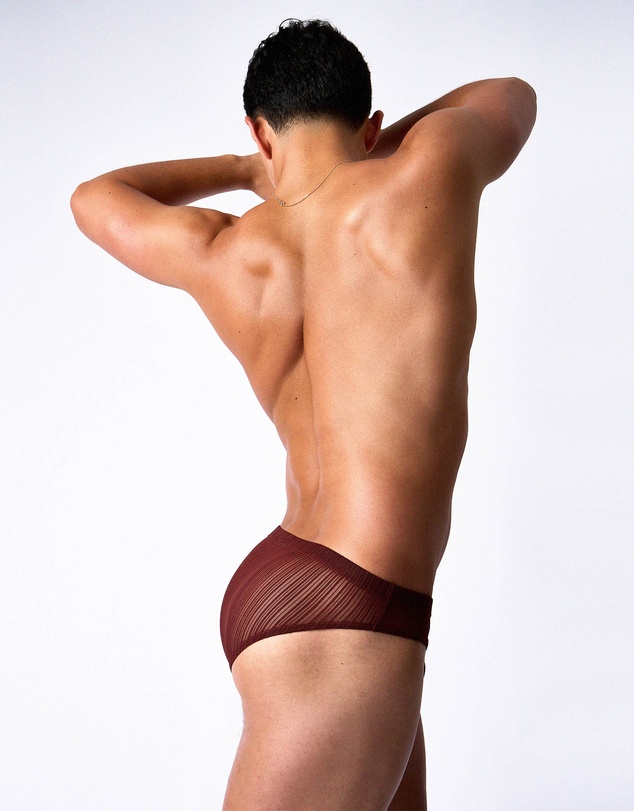 TEAMM8 - Romeo Sheer Bikini Brief