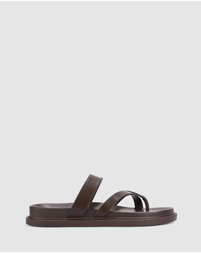 Chocolate Brown