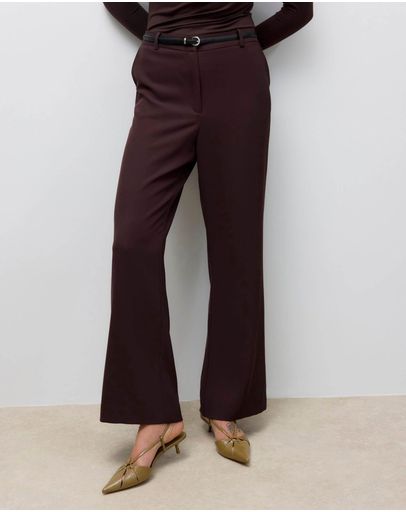 Chocolate Plum
