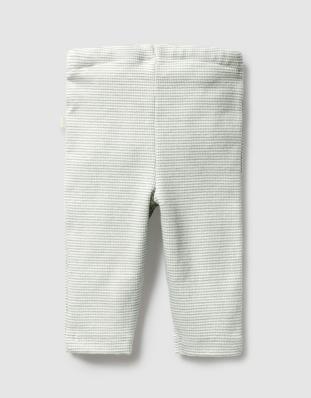 Wilson & Frenchy - Organic Stripe Rib Leggings - Babies