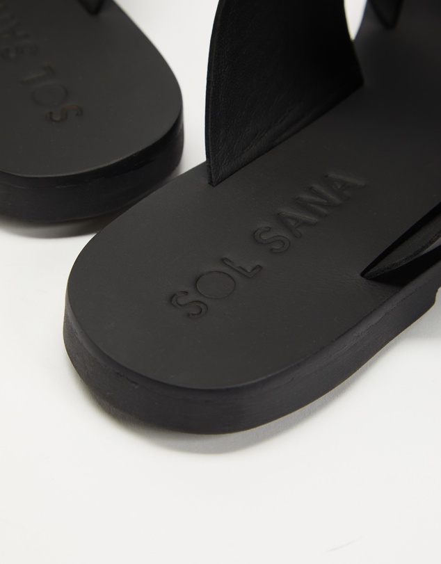 Sol Sana - Sensei Slides