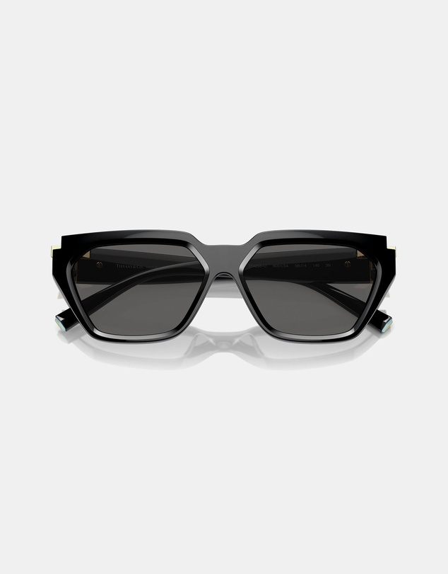 Tiffany & Co. - 0TF4205U