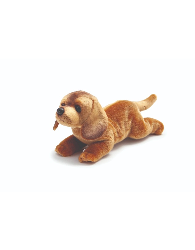 Animal Allsorts - Daisy Dachshund
