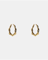 ALDO - Patroklos Hoop Earrings