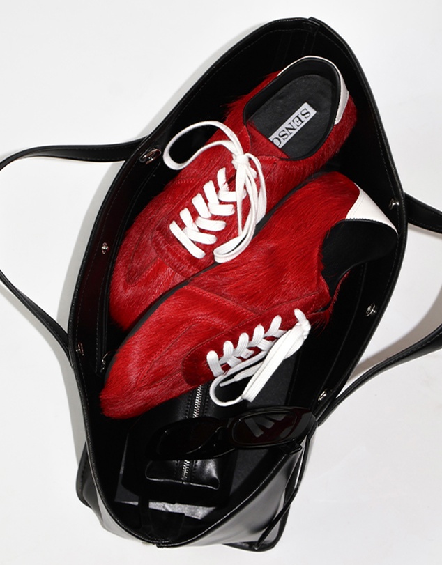 Senso - Ace II