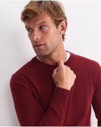 Sportscraft - Merino Crew Neck Knit