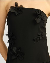 TOJHA - PHOEBE STRAPLESS SEMI-SHEER MAXI