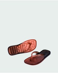 Melissa - Melissa Beachwear