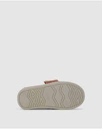 TOMS - Alpargata Classic - Toddler