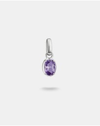 THOMAS SABO - THOMAS SABO Connect Charm Birthstone February